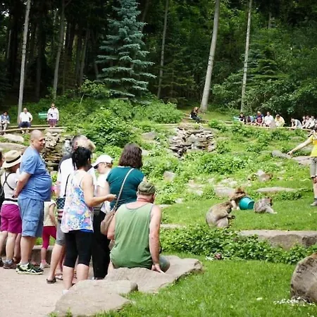 アパート Proche Gare セレスタ